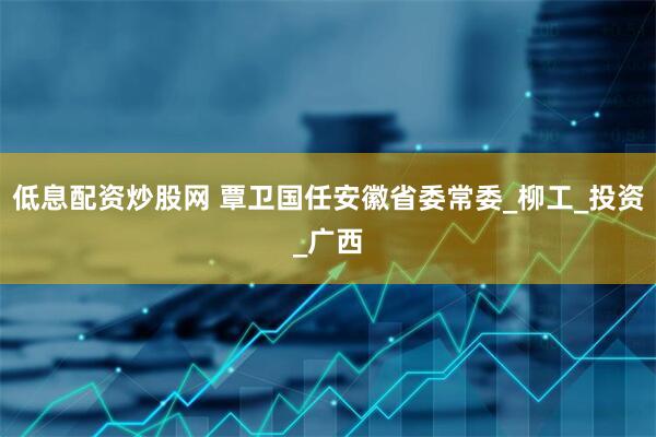 低息配资炒股网 覃卫国任安徽省委常委_柳工_投资_广西